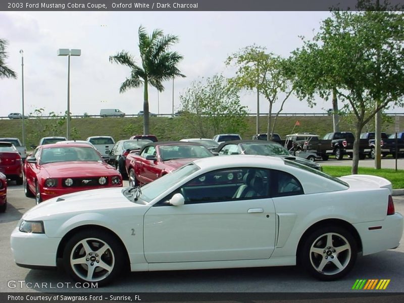 Oxford White / Dark Charcoal 2003 Ford Mustang Cobra Coupe
