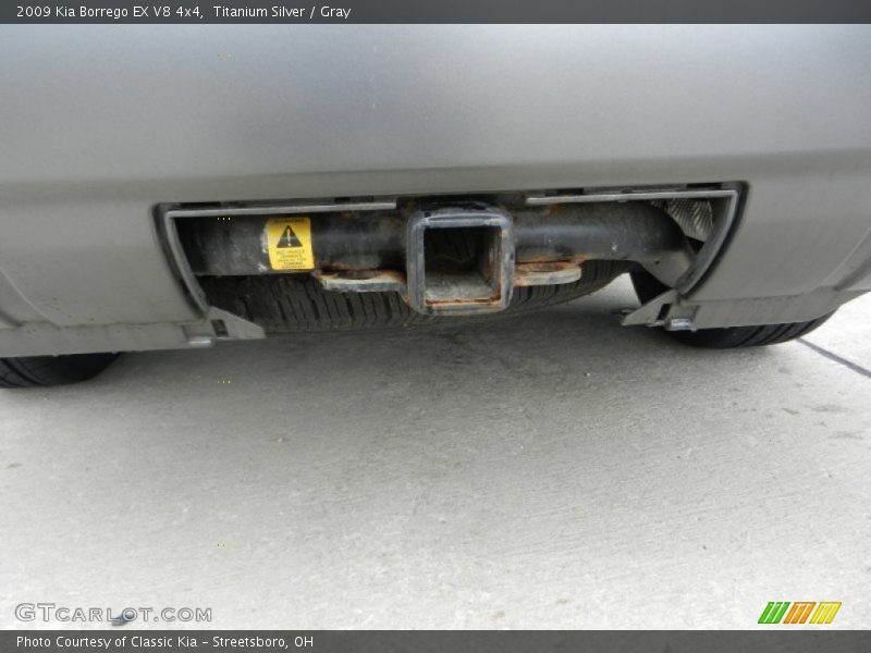 Titanium Silver / Gray 2009 Kia Borrego EX V8 4x4