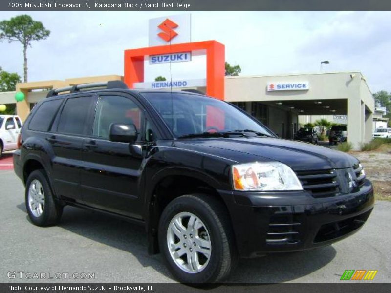 Kalapana Black / Sand Blast Beige 2005 Mitsubishi Endeavor LS