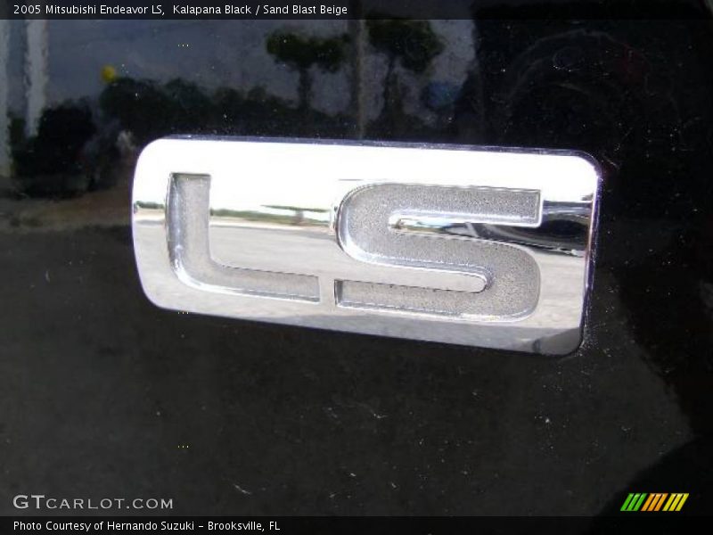 Kalapana Black / Sand Blast Beige 2005 Mitsubishi Endeavor LS