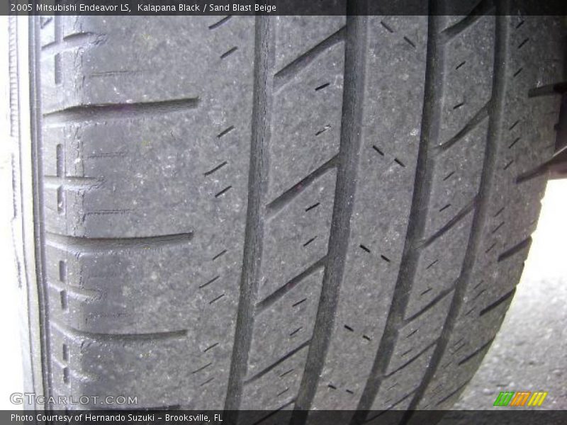 Kalapana Black / Sand Blast Beige 2005 Mitsubishi Endeavor LS