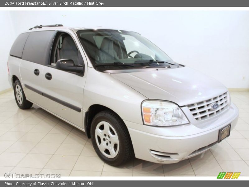 Silver Birch Metallic / Flint Grey 2004 Ford Freestar SE