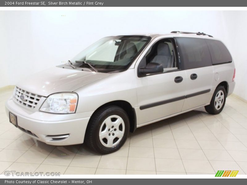 Silver Birch Metallic / Flint Grey 2004 Ford Freestar SE