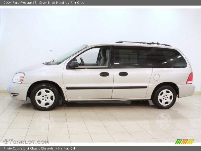Silver Birch Metallic / Flint Grey 2004 Ford Freestar SE