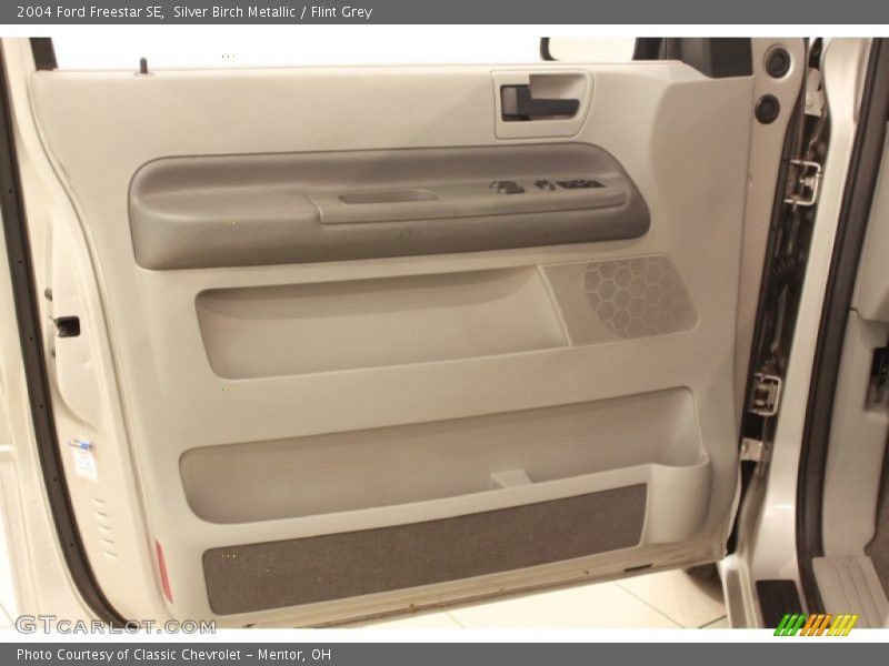 Silver Birch Metallic / Flint Grey 2004 Ford Freestar SE