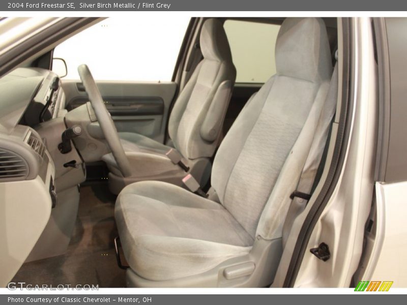 Silver Birch Metallic / Flint Grey 2004 Ford Freestar SE