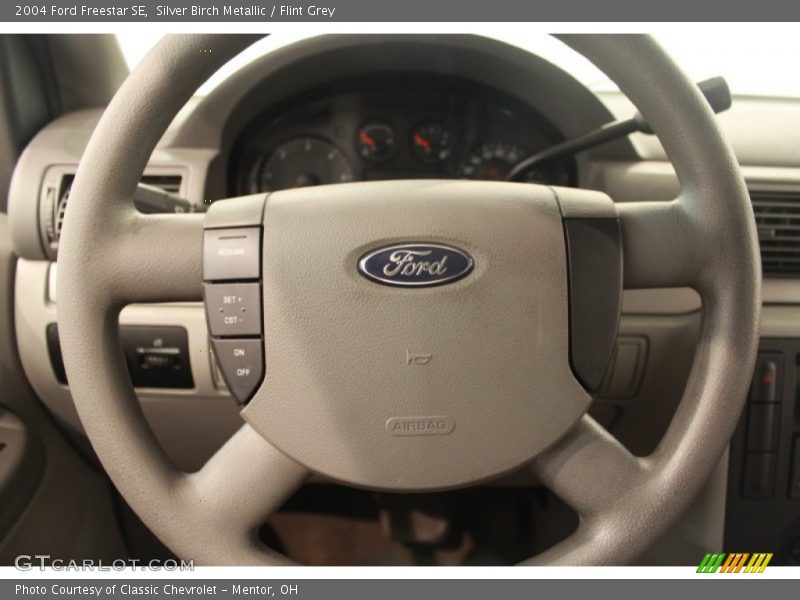 Silver Birch Metallic / Flint Grey 2004 Ford Freestar SE