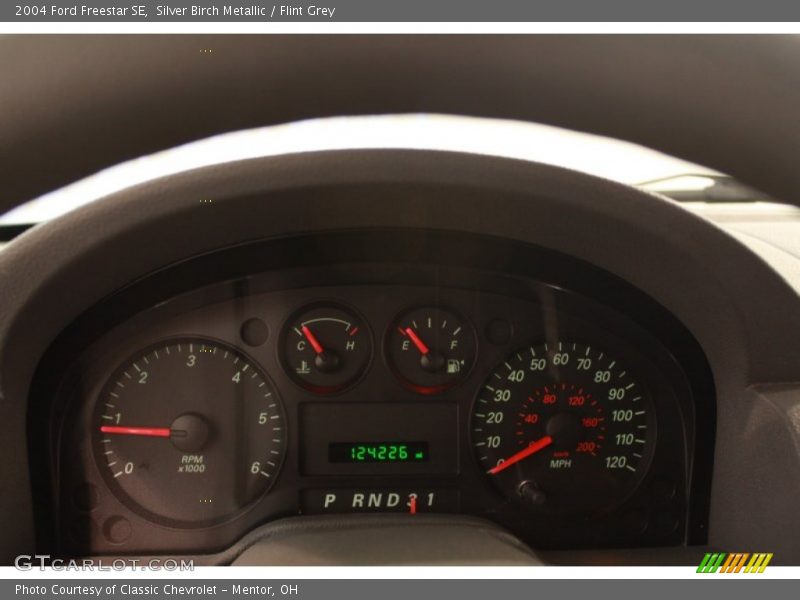 Silver Birch Metallic / Flint Grey 2004 Ford Freestar SE