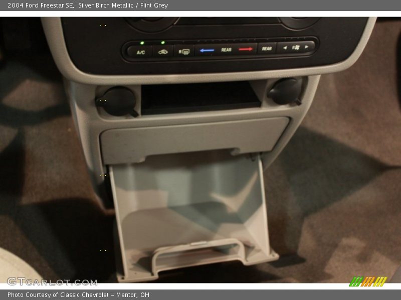 Silver Birch Metallic / Flint Grey 2004 Ford Freestar SE