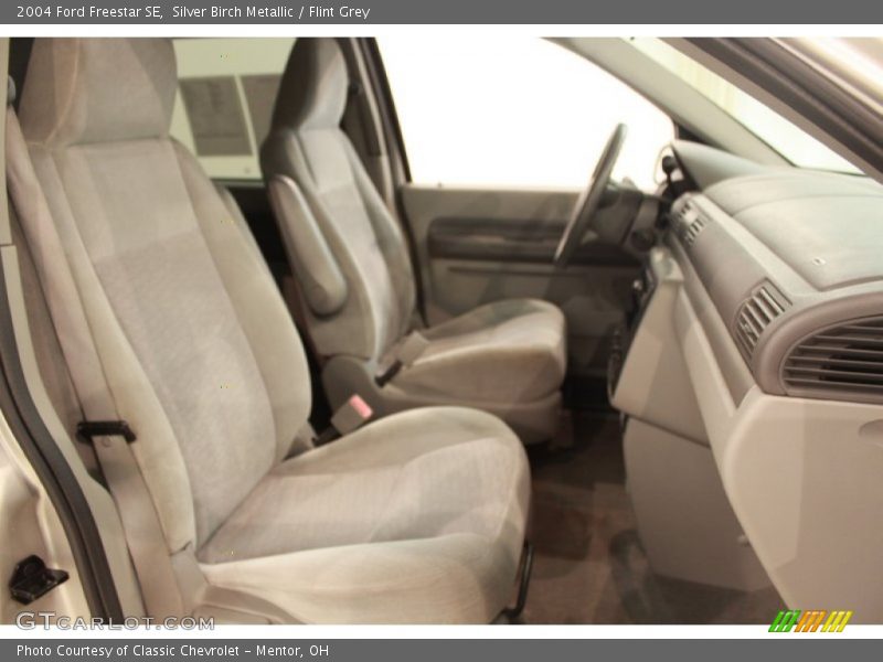 Silver Birch Metallic / Flint Grey 2004 Ford Freestar SE