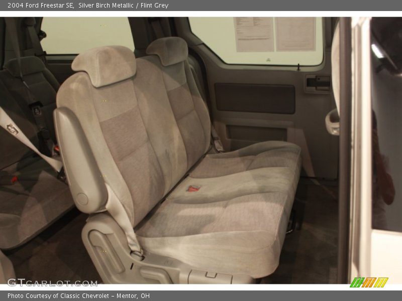 Silver Birch Metallic / Flint Grey 2004 Ford Freestar SE