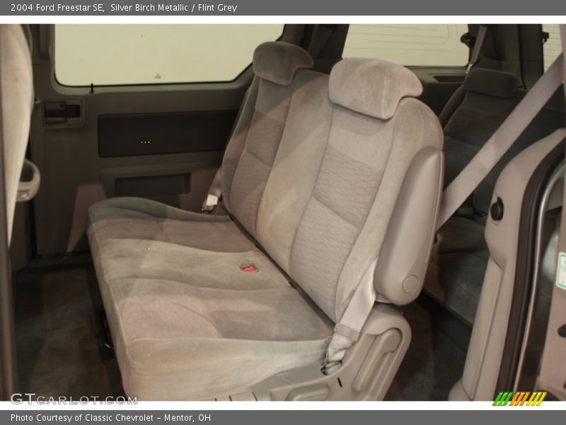 Silver Birch Metallic / Flint Grey 2004 Ford Freestar SE