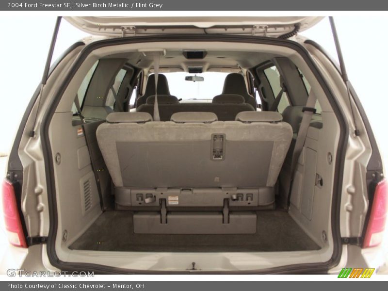 Silver Birch Metallic / Flint Grey 2004 Ford Freestar SE