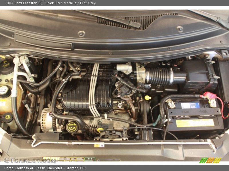 Silver Birch Metallic / Flint Grey 2004 Ford Freestar SE