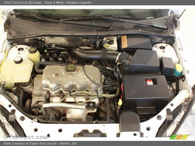 Cloud 9 White / Medium Graphite 2002 Ford Focus SE Sedan