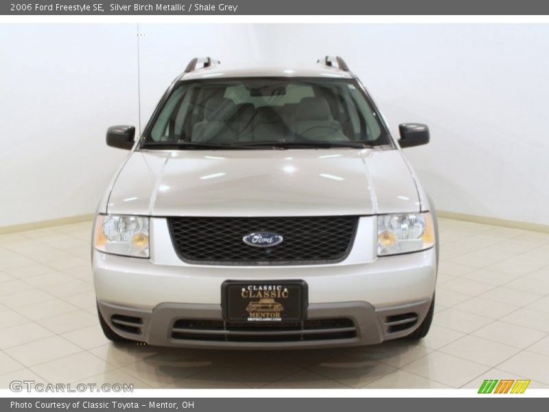 Silver Birch Metallic / Shale Grey 2006 Ford Freestyle SE