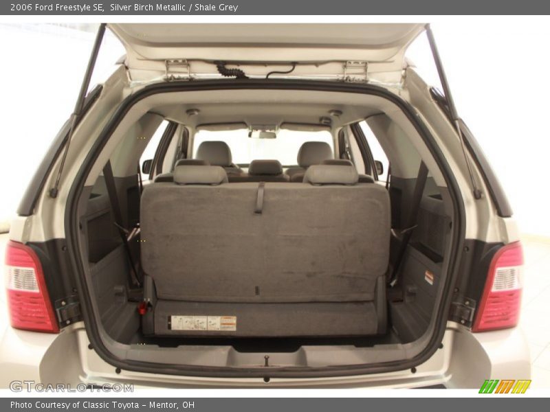 Silver Birch Metallic / Shale Grey 2006 Ford Freestyle SE