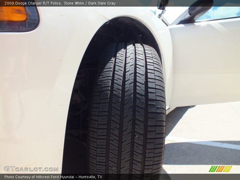 Stone White / Dark Slate Gray 2009 Dodge Charger R/T Police