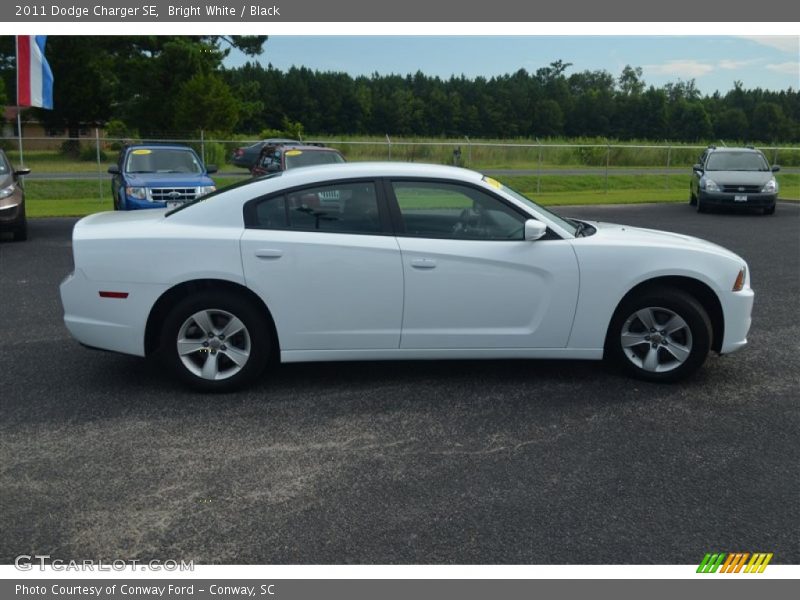 Bright White / Black 2011 Dodge Charger SE