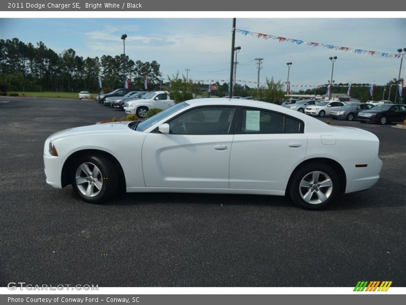 Bright White / Black 2011 Dodge Charger SE