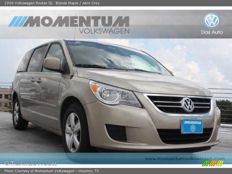 Blonde Maple / Aero Grey 2009 Volkswagen Routan SE