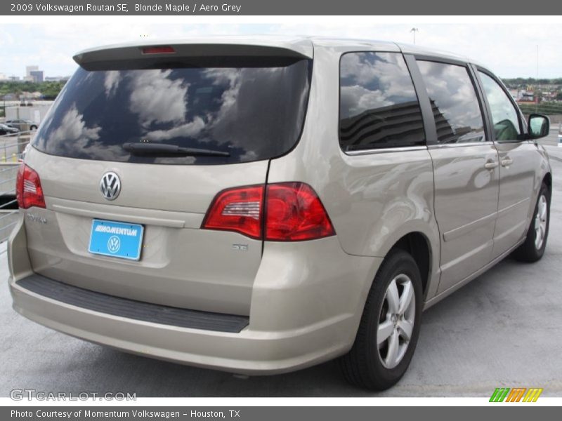 Blonde Maple / Aero Grey 2009 Volkswagen Routan SE