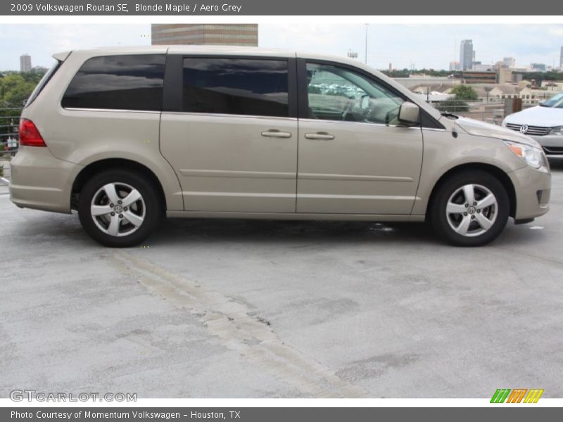 Blonde Maple / Aero Grey 2009 Volkswagen Routan SE