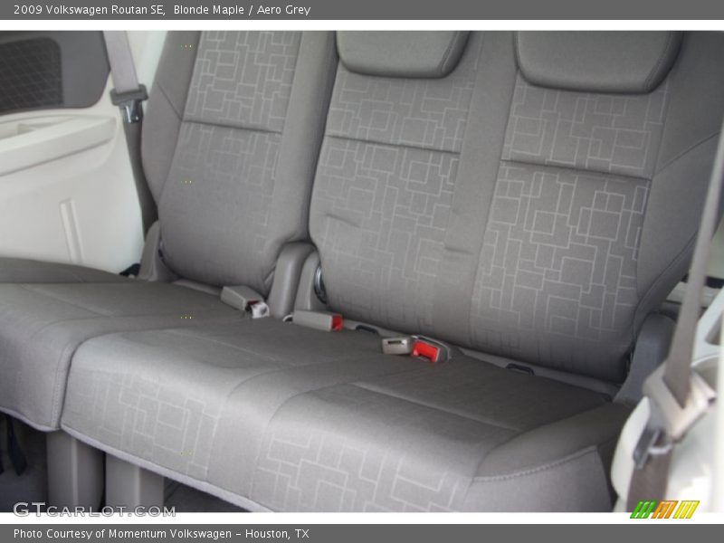 Blonde Maple / Aero Grey 2009 Volkswagen Routan SE