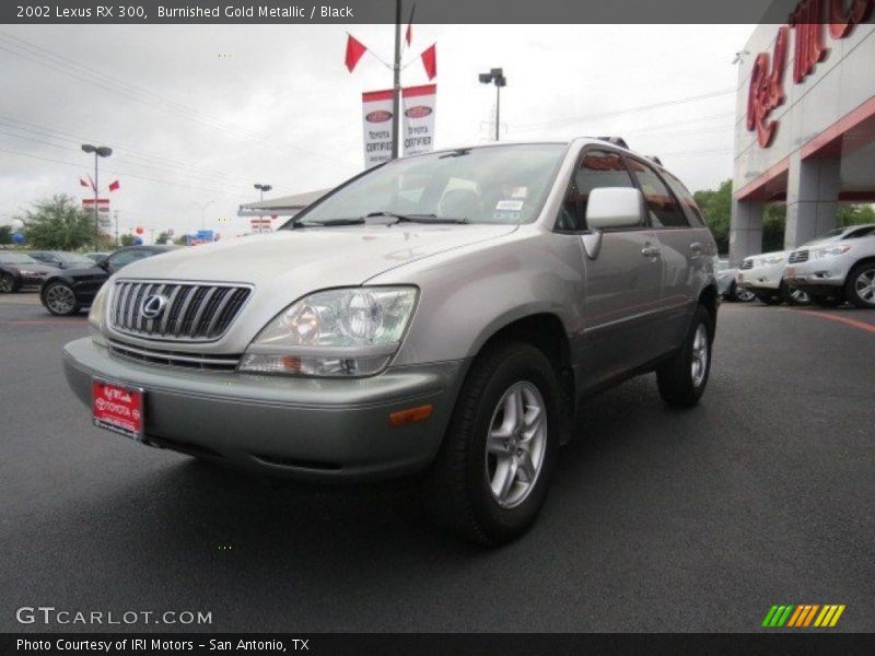 Burnished Gold Metallic / Black 2002 Lexus RX 300