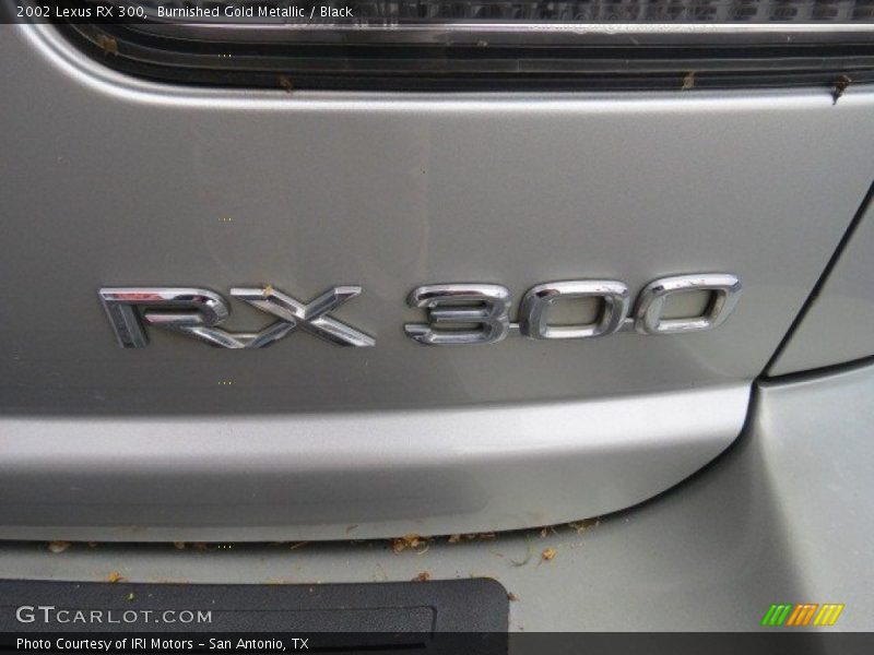 Burnished Gold Metallic / Black 2002 Lexus RX 300