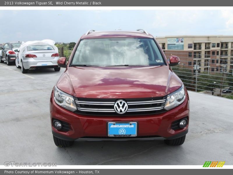 Wild Cherry Metallic / Black 2013 Volkswagen Tiguan SE