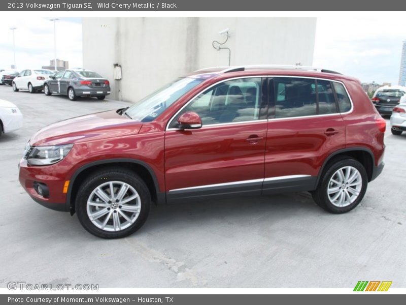 Wild Cherry Metallic / Black 2013 Volkswagen Tiguan SE