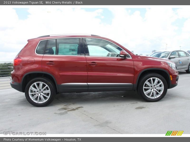  2013 Tiguan SE Wild Cherry Metallic