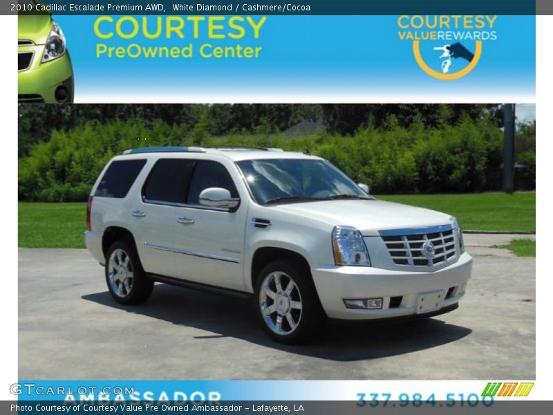 White Diamond / Cashmere/Cocoa 2010 Cadillac Escalade Premium AWD