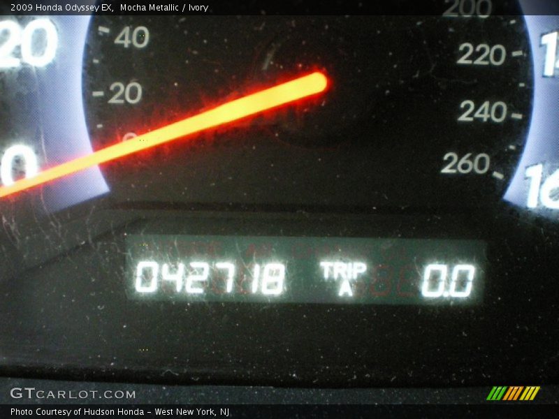 Mocha Metallic / Ivory 2009 Honda Odyssey EX
