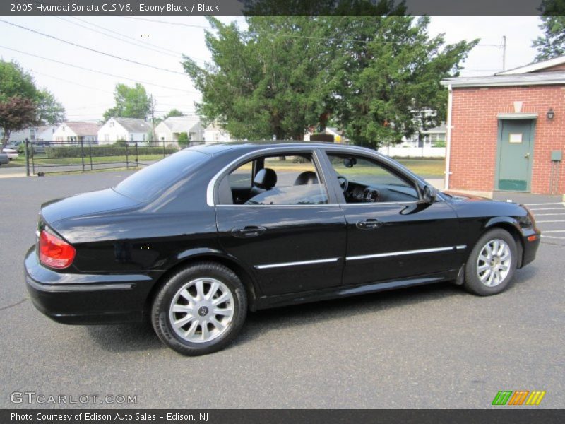 Ebony Black / Black 2005 Hyundai Sonata GLS V6