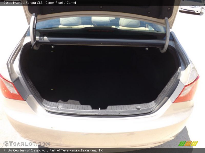 Camel Pearl / Camel 2011 Hyundai Sonata GLS
