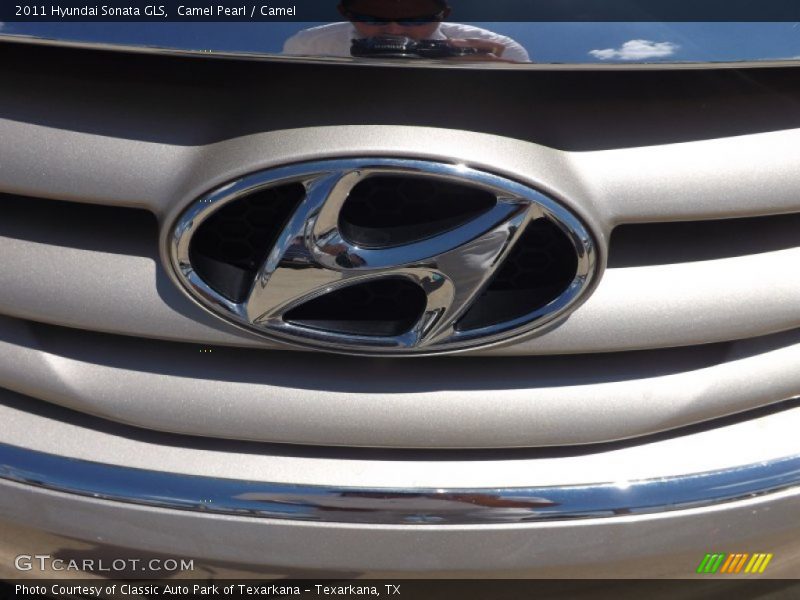 Camel Pearl / Camel 2011 Hyundai Sonata GLS