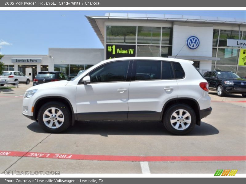 Candy White / Charcoal 2009 Volkswagen Tiguan SE