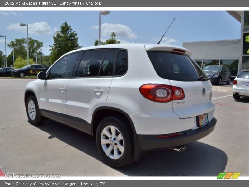 Candy White / Charcoal 2009 Volkswagen Tiguan SE