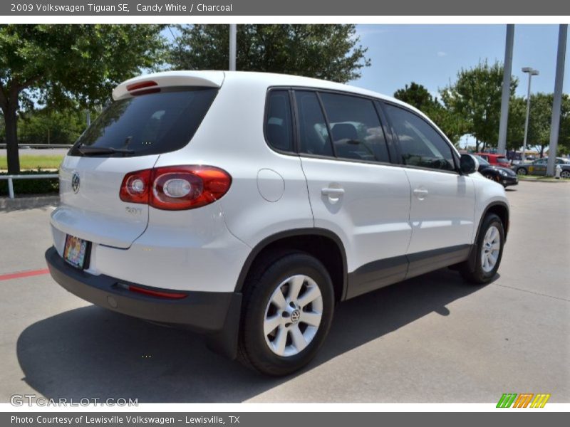 Candy White / Charcoal 2009 Volkswagen Tiguan SE