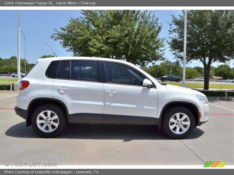 Candy White / Charcoal 2009 Volkswagen Tiguan SE