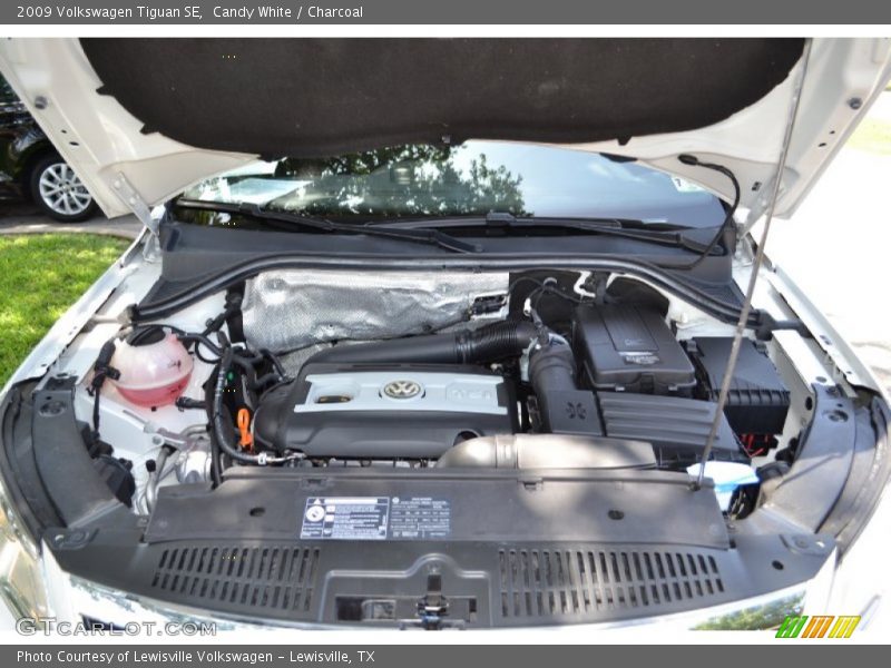 Candy White / Charcoal 2009 Volkswagen Tiguan SE