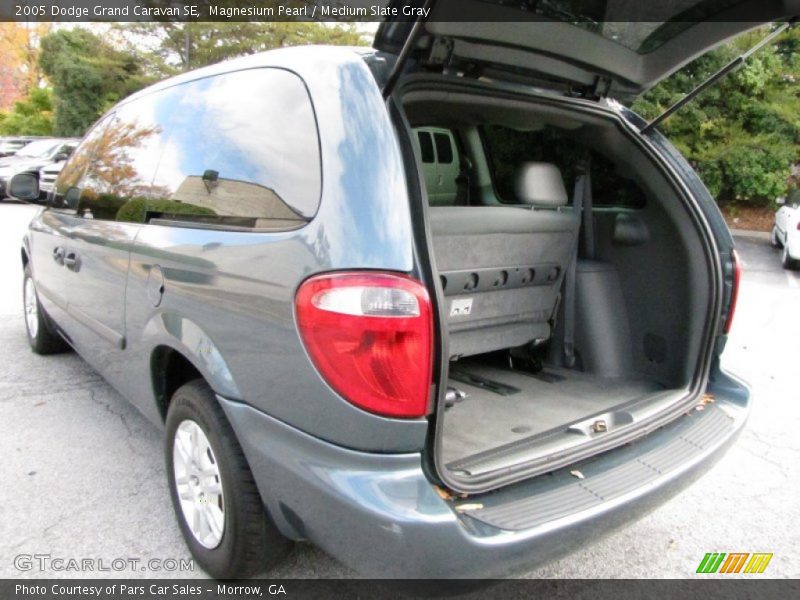 Magnesium Pearl / Medium Slate Gray 2005 Dodge Grand Caravan SE