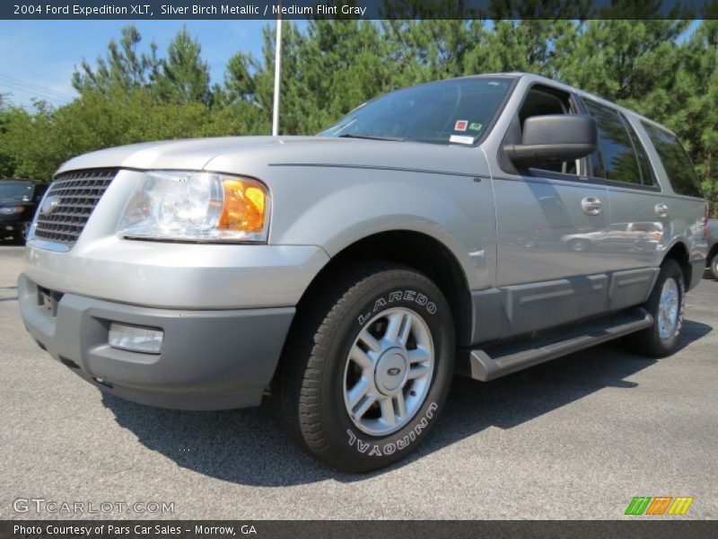 Silver Birch Metallic / Medium Flint Gray 2004 Ford Expedition XLT