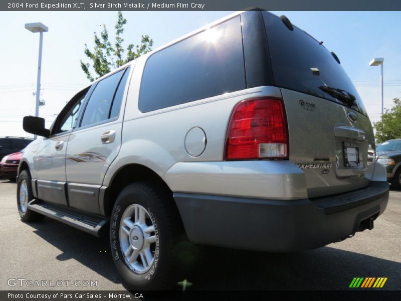 Silver Birch Metallic / Medium Flint Gray 2004 Ford Expedition XLT