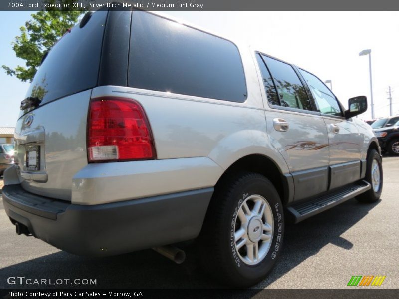 Silver Birch Metallic / Medium Flint Gray 2004 Ford Expedition XLT