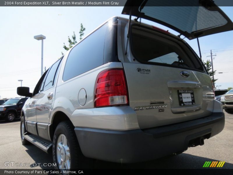 Silver Birch Metallic / Medium Flint Gray 2004 Ford Expedition XLT