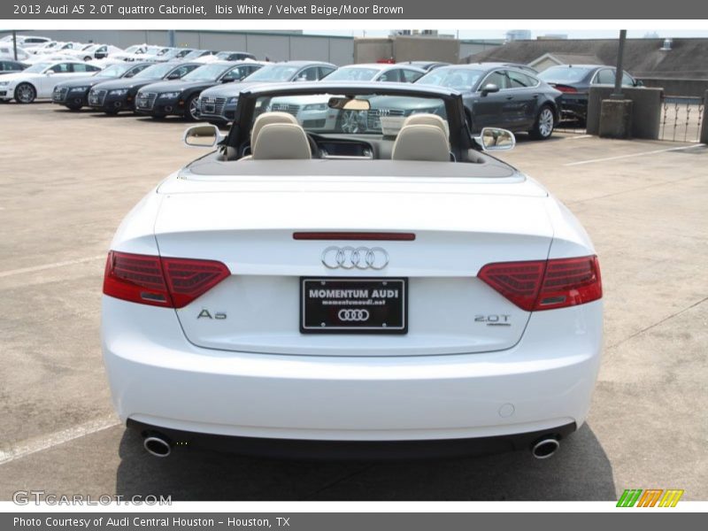 Ibis White / Velvet Beige/Moor Brown 2013 Audi A5 2.0T quattro Cabriolet