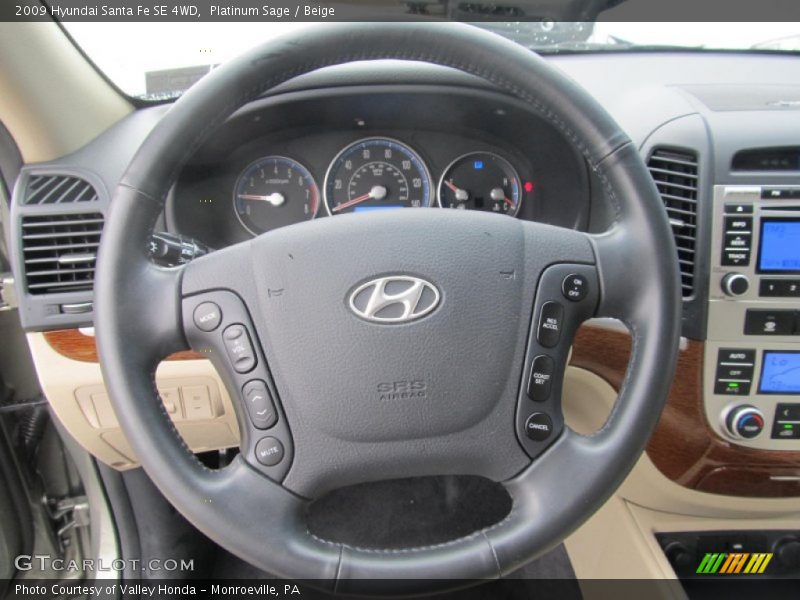 Platinum Sage / Beige 2009 Hyundai Santa Fe SE 4WD